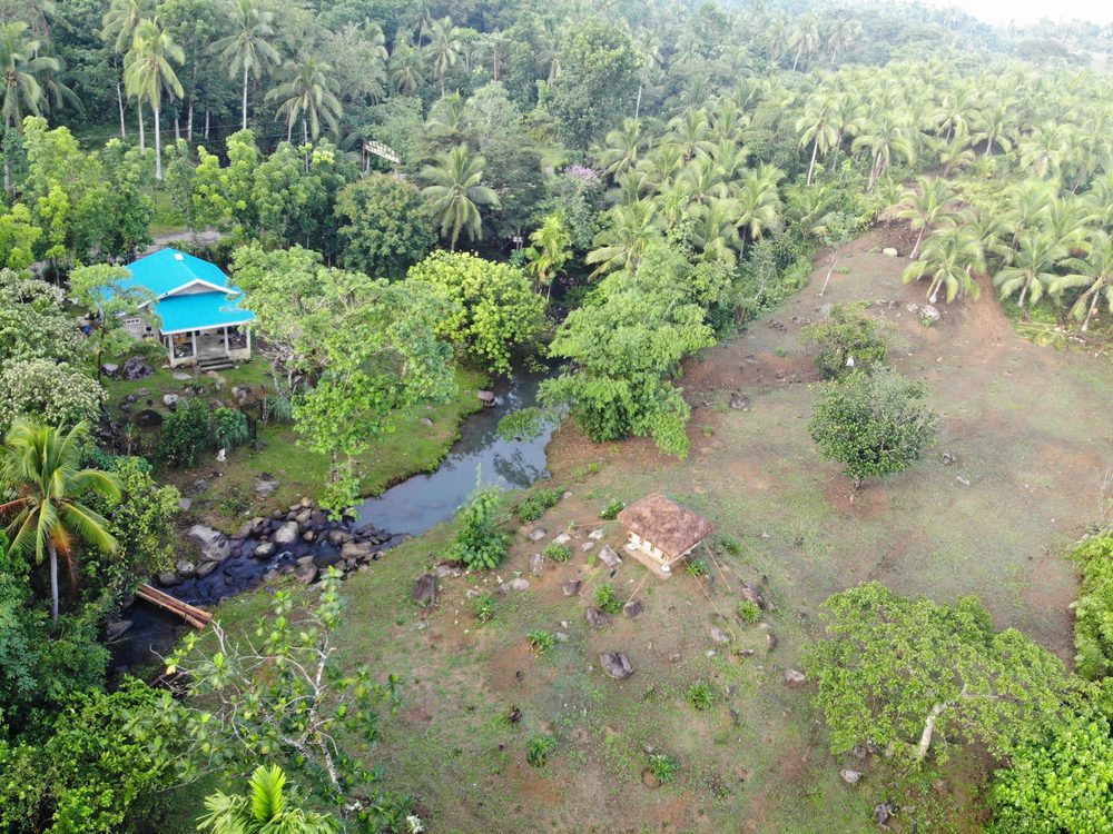 Aerial view of the farm, with the blue-roofed house beside the creek among the trees