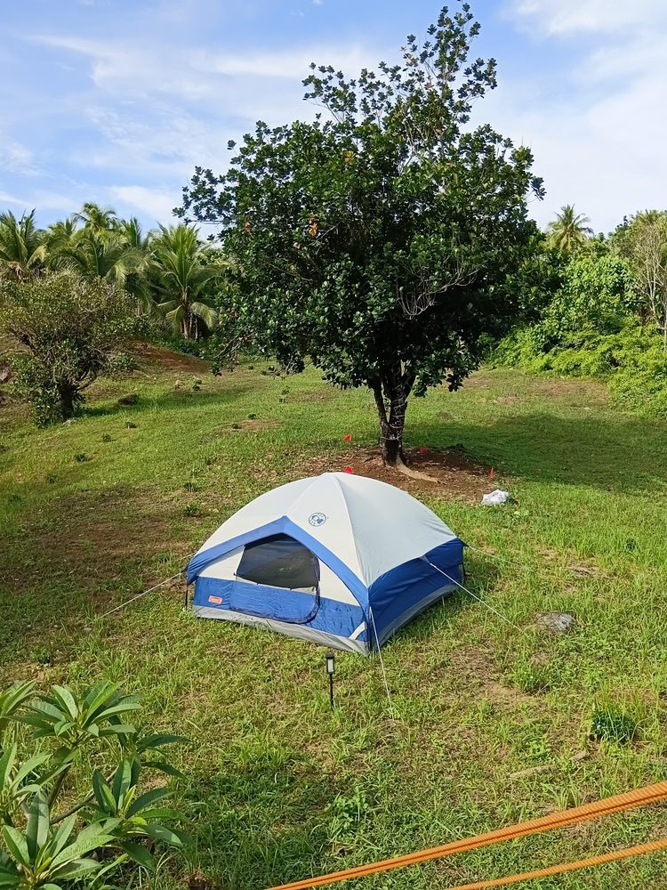 Blue and white dome tent pitched on the grass under a shady tree